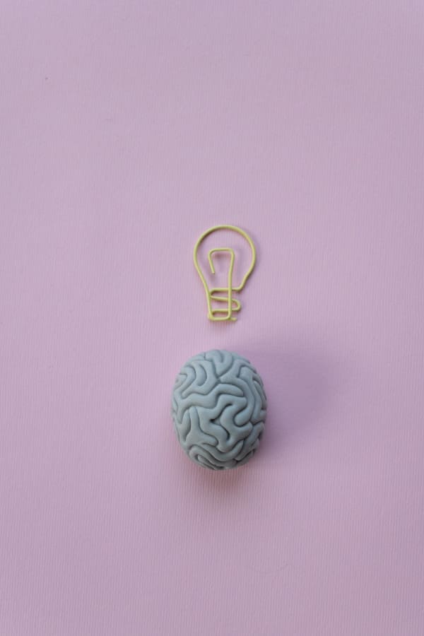 Gehirn und Idee